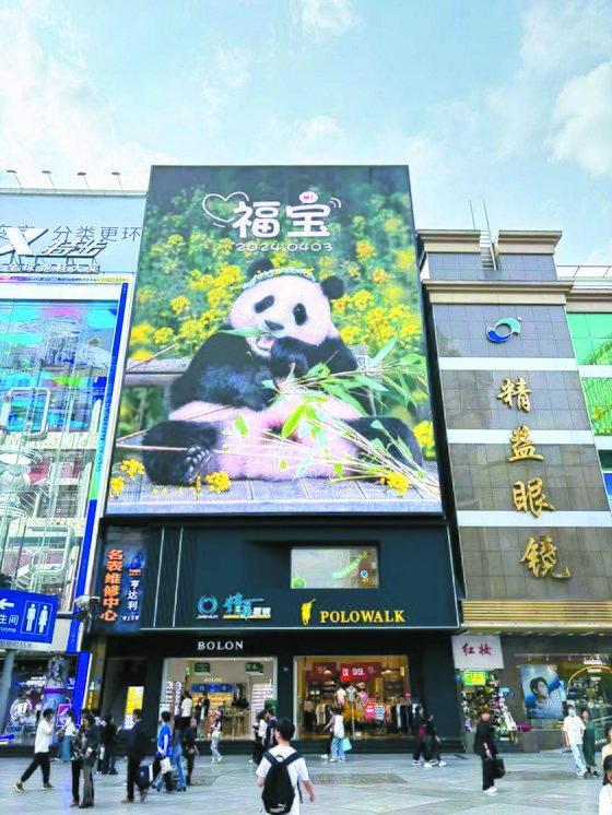 청두의 대표적인 명품 쇼핑가인 타이쿠리太古里에 등장한 푸바오 환영 포스터. 사진 청두 총영사관 제공