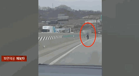 지난달 30일 고속도로에서 자전거를 타는 남성이 목격됐다. 〈영상=JTBC 사건반장〉
